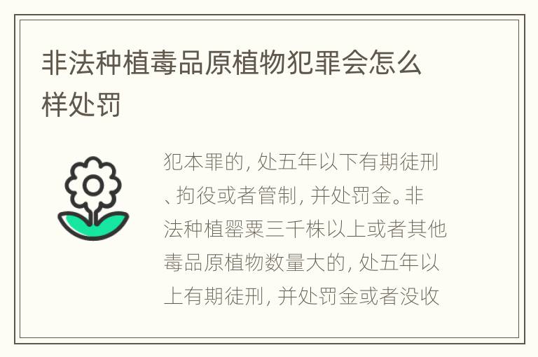 非法种植毒品原植物犯罪会怎么样处罚