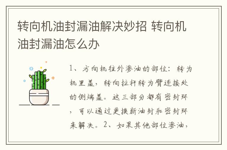 转向机油封漏油解决妙招 转向机油封漏油怎么办