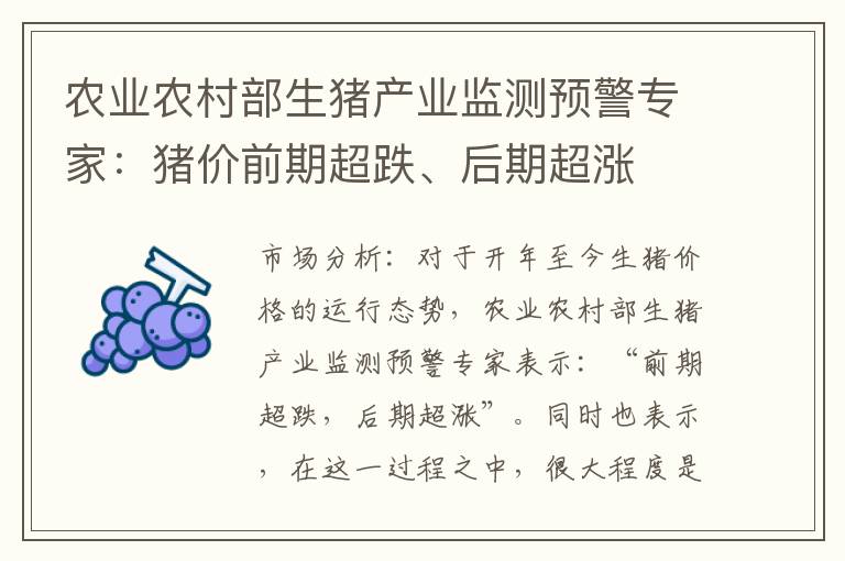 农业农村部生猪产业监测预警专家：猪价前期超跌、后期超涨