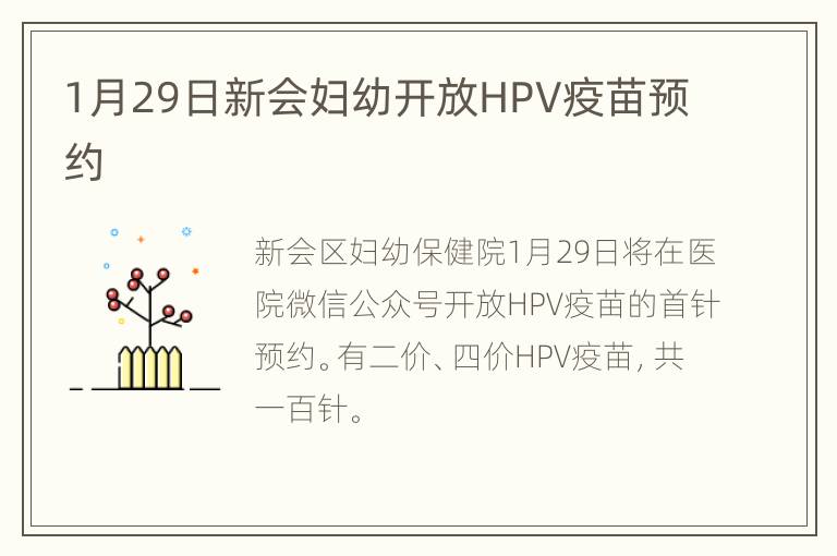 1月29日新会妇幼开放HPV疫苗预约