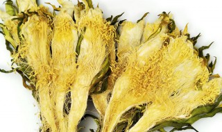 霸王花的功效作用 霸王花有什么功效作用