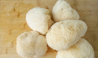 山猴头菇怎么吃? 山猴头菇吃法