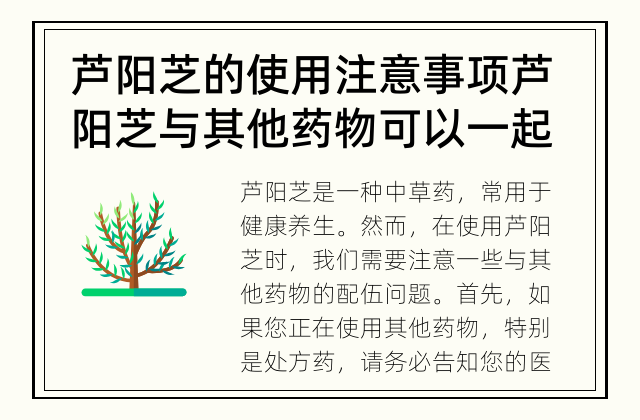 芦阳芝的使用注意事项 芦阳芝与其他药物可以一起使用吗？