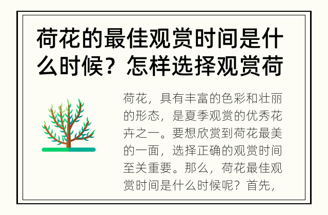 荷花的最佳观赏时间是什么时候？ 怎样选择观赏荷花的最佳时间