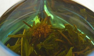 菊花和蒲公英根可以一起吃吗 菊花和蒲公英根可不可以一起吃
