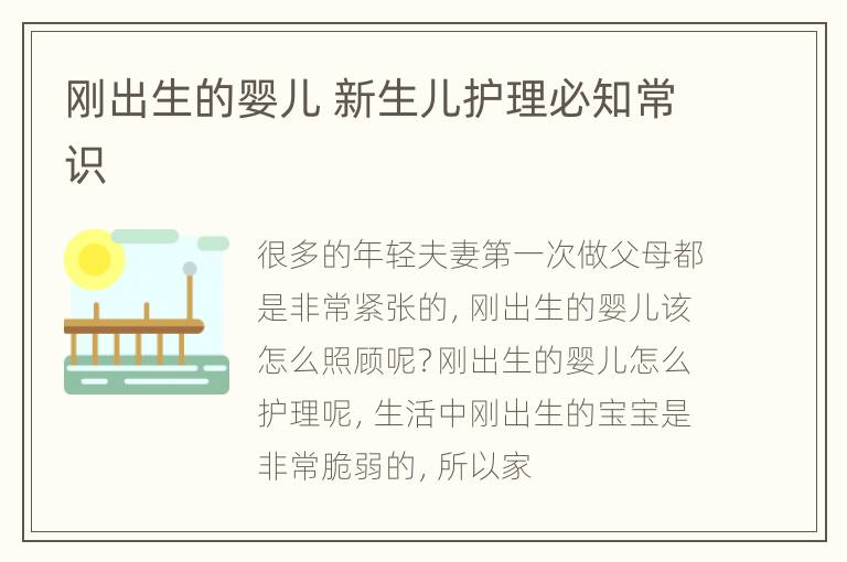 刚出生的婴儿 新生儿护理必知常识