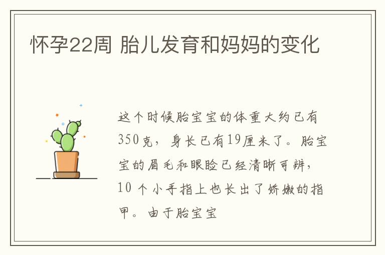 怀孕22周 胎儿发育和妈妈的变化