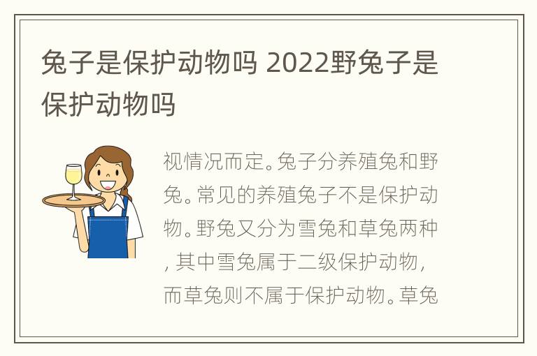 兔子是保护动物吗 2022野兔子是保护动物吗