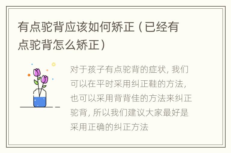 有点驼背应该如何矫正（已经有点驼背怎么矫正）