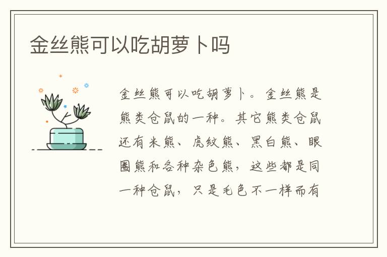 金丝熊可以吃胡萝卜吗