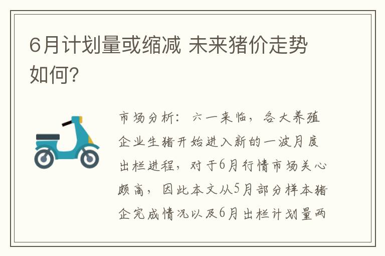 6月计划量或缩减 未来猪价走势如何？