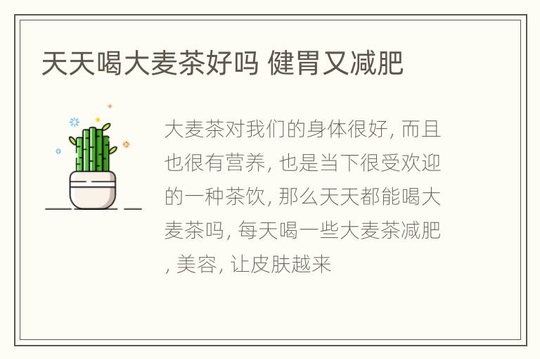 天天喝大麦茶好吗 健胃又减肥