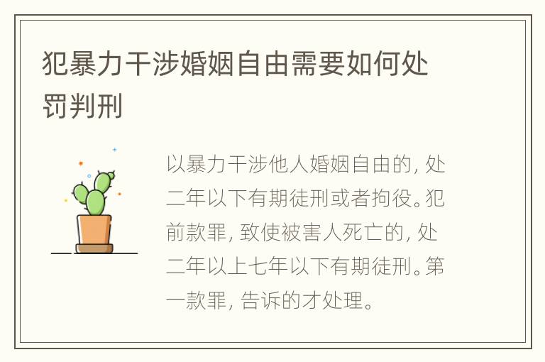 犯暴力干涉婚姻自由需要如何处罚判刑