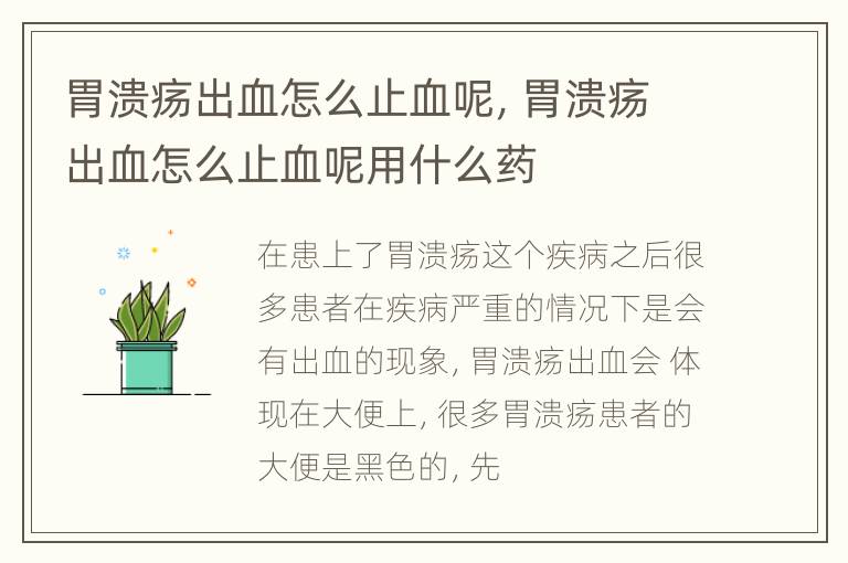 胃溃疡出血怎么止血呢，胃溃疡出血怎么止血呢用什么药