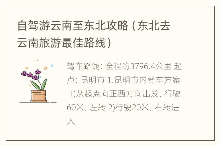 自驾游云南至东北攻略（东北去云南旅游最佳路线）