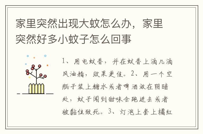 家里突然出现大蚊怎么办，家里突然好多小蚊子怎么回事