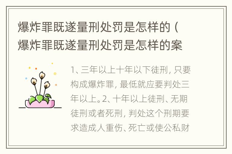 爆炸罪既遂量刑处罚是怎样的（爆炸罪既遂量刑处罚是怎样的案例）