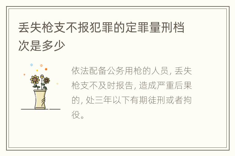 丢失枪支不报犯罪的定罪量刑档次是多少