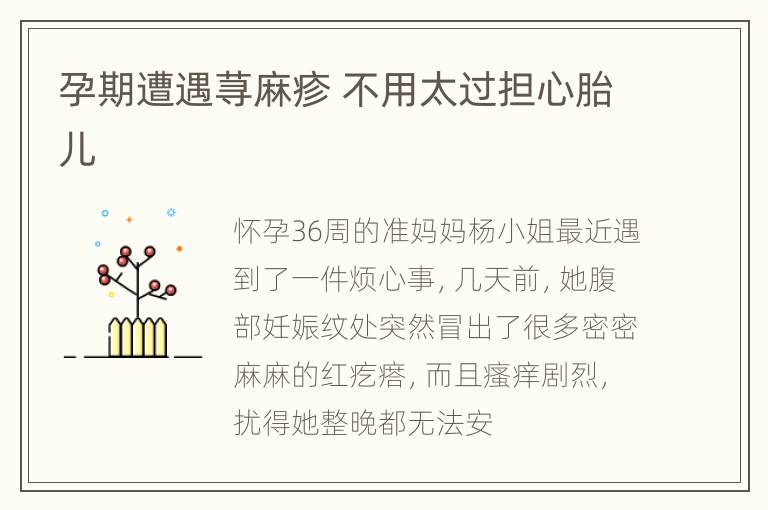 孕期遭遇荨麻疹 不用太过担心胎儿