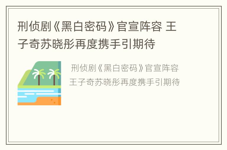 刑侦剧《黑白密码》官宣阵容 王子奇苏晓彤再度携手引期待