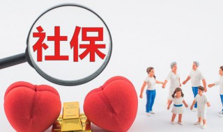 社保缴纳记录在哪里查 社保缴纳记录查询方法
