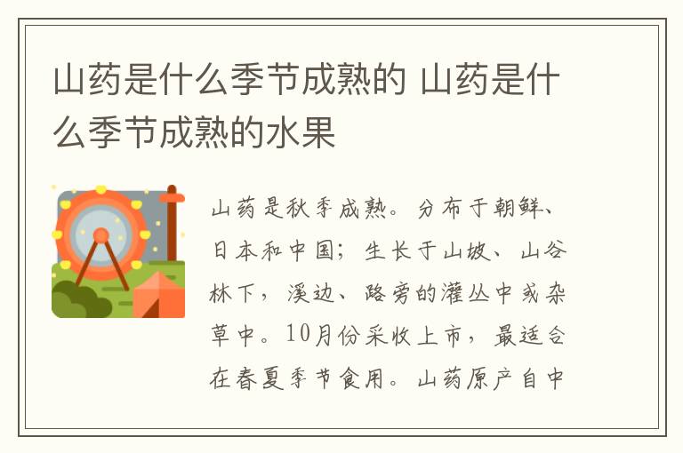 山药是什么季节成熟的 山药是什么季节成熟的水果