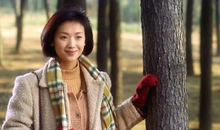 半生缘故事简介 半生缘电视剧的内容简介