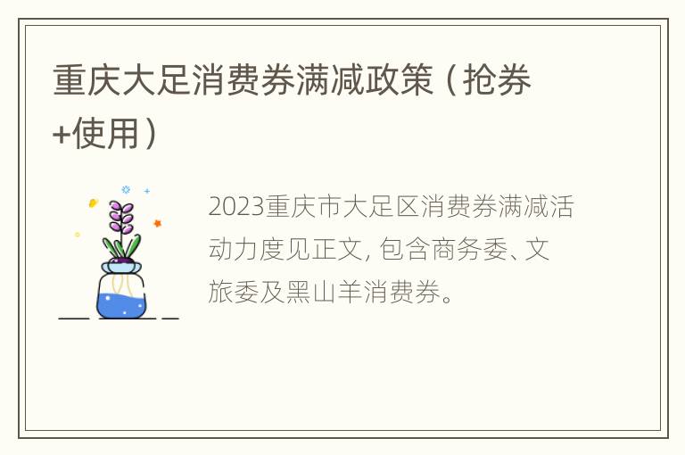 重庆大足消费券满减政策（抢券+使用）