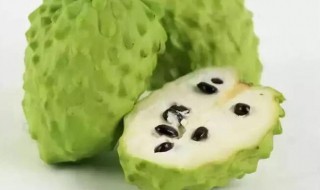 释迦果的功效和禁忌 释迦果的功效和禁忌有哪些