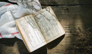 戊字怎么读（戌字怎么读）
