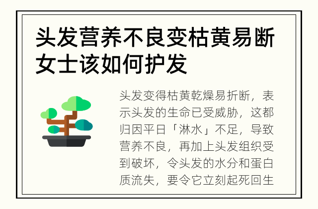 头发营养不良变枯黄易断 女士该如何护发