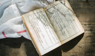 爱到没商量作文800字 让我爱到没商量事物