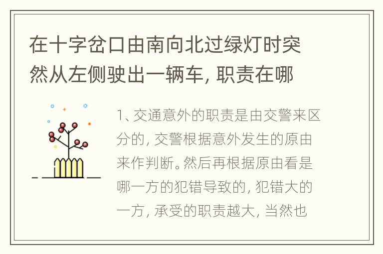 在十字岔口由南向北过绿灯时突然从左侧驶出一辆车，职责在哪一方