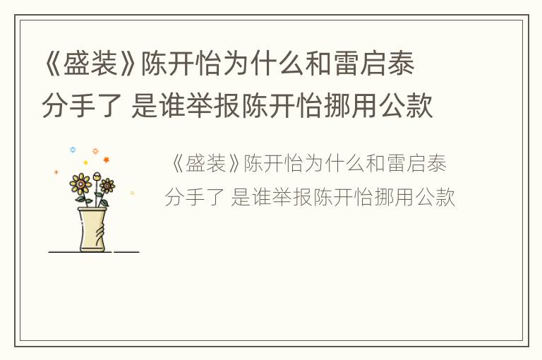 《盛装》陈开怡为什么和雷启泰分手了 是谁举报陈开怡挪用公款