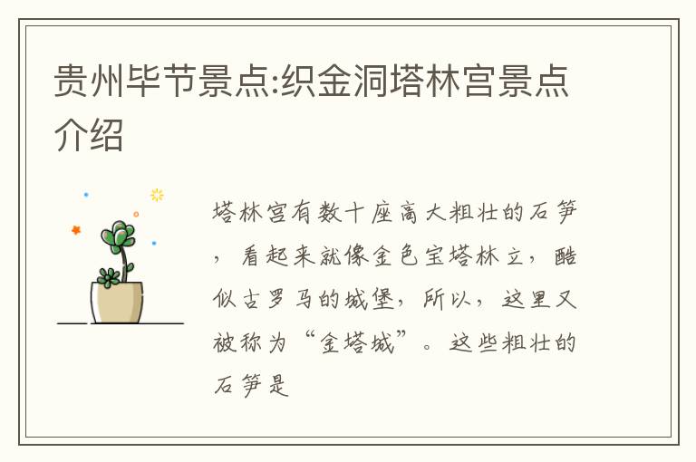贵州毕节景点:织金洞塔林宫景点介绍