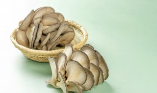 蘑菇发黑能吃吗 蘑菇变黑了还能吃吗？