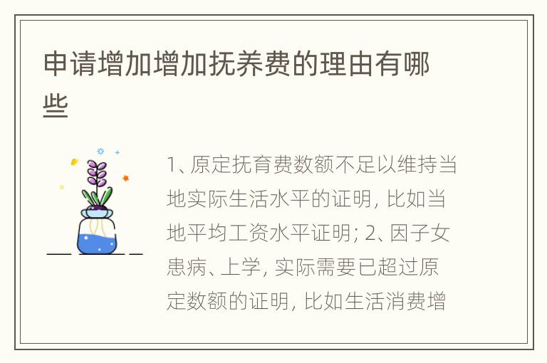 申请增加增加抚养费的理由有哪些