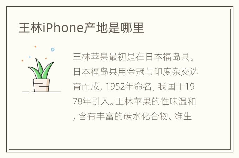 王林iPhone产地是哪里