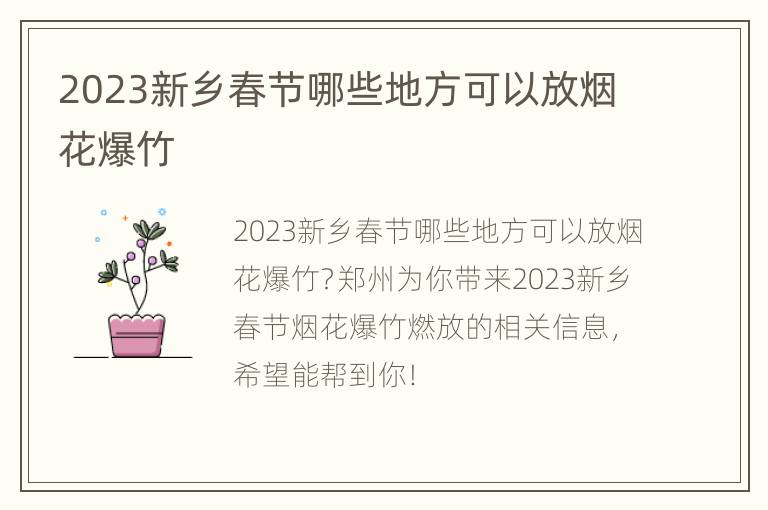 2023新乡春节哪些地方可以放烟花爆竹