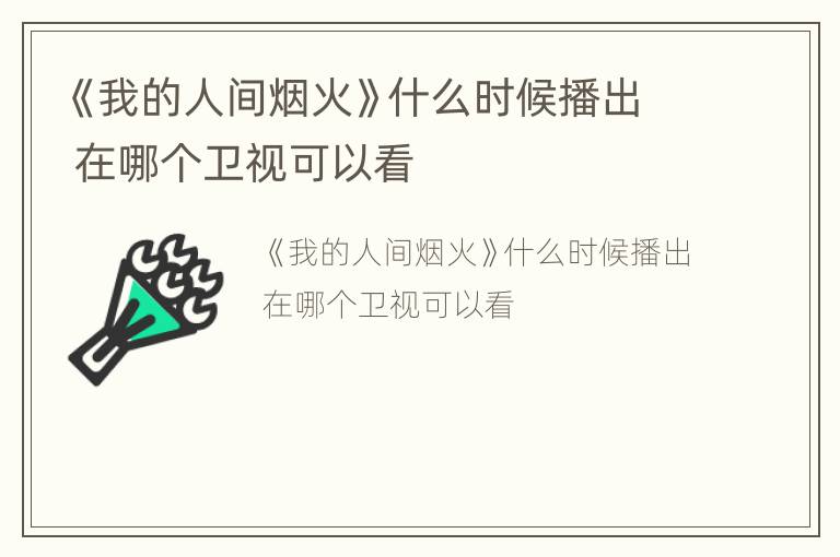 《我的人间烟火》什么时候播出 在哪个卫视可以看