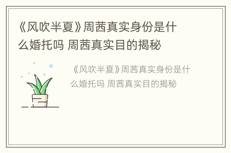 《风吹半夏》周茜真实身份是什么婚托吗 周茜真实目的揭秘