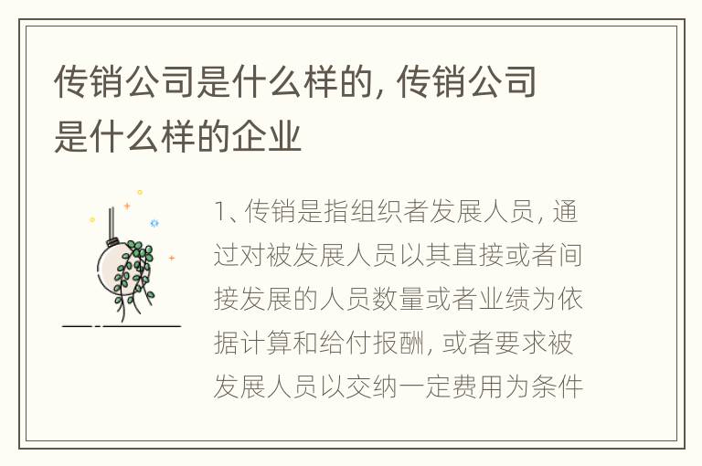 传销公司是什么样的，传销公司是什么样的企业