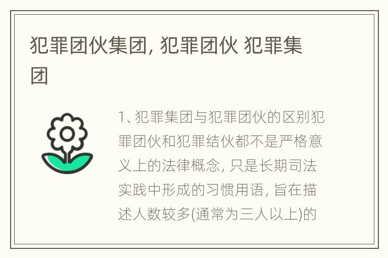 犯罪团伙集团，犯罪团伙 犯罪集团