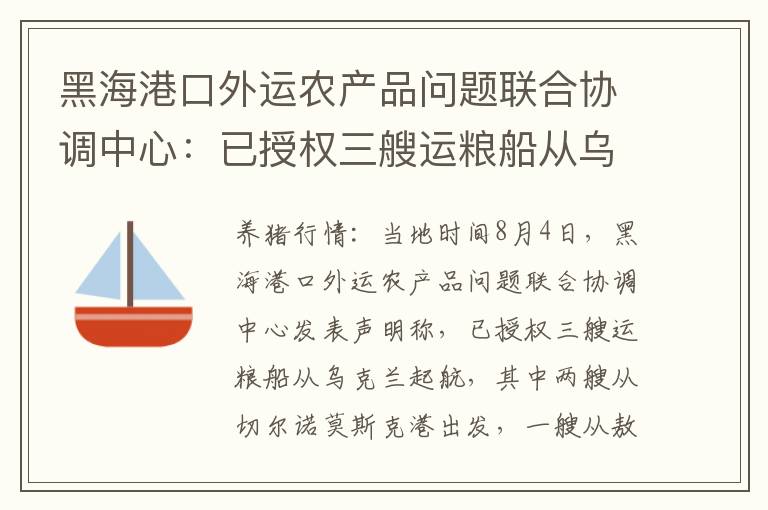 黑海港口外运农产品问题联合协调中心：已授权三艘运粮船从乌港口起