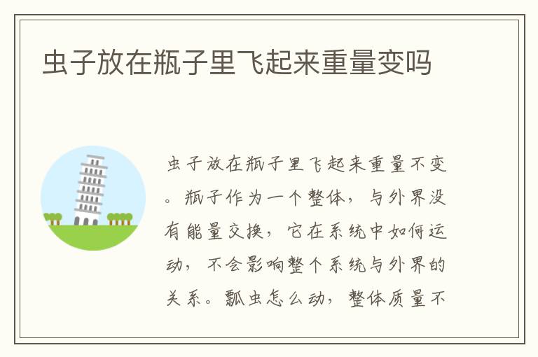 虫子放在瓶子里飞起来重量变吗