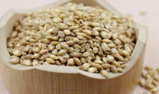 浮小麦的功效与作用 浮小麦的功效与作用简单介绍