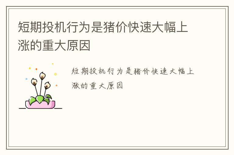 短期投机行为是猪价快速大幅上涨的重大原因