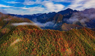 留坝小众景点有哪些（留坝旅游景点有哪些）