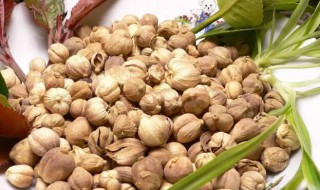 豆蔻油的功效与作用 豆蔻油有哪些功效与作用