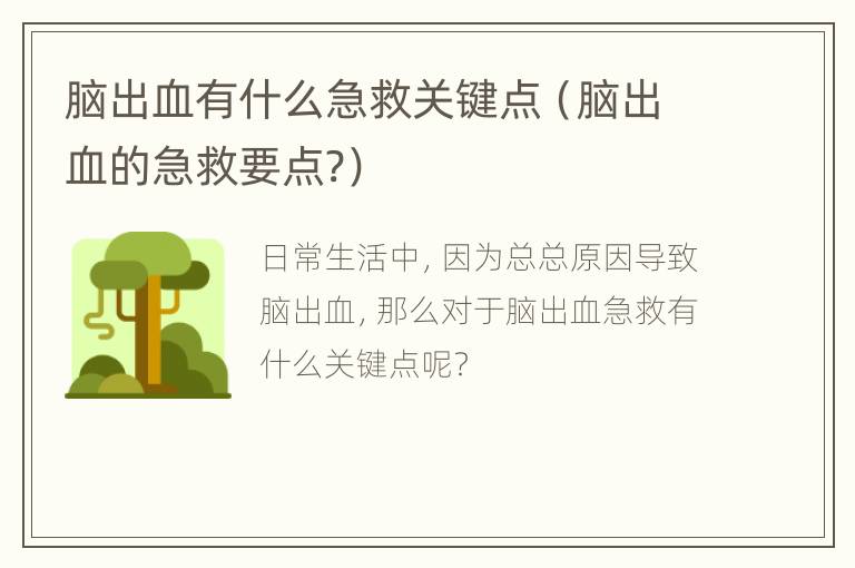 脑出血有什么急救关键点（脑出血的急救要点?）